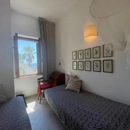 Il Polpetto Apartment